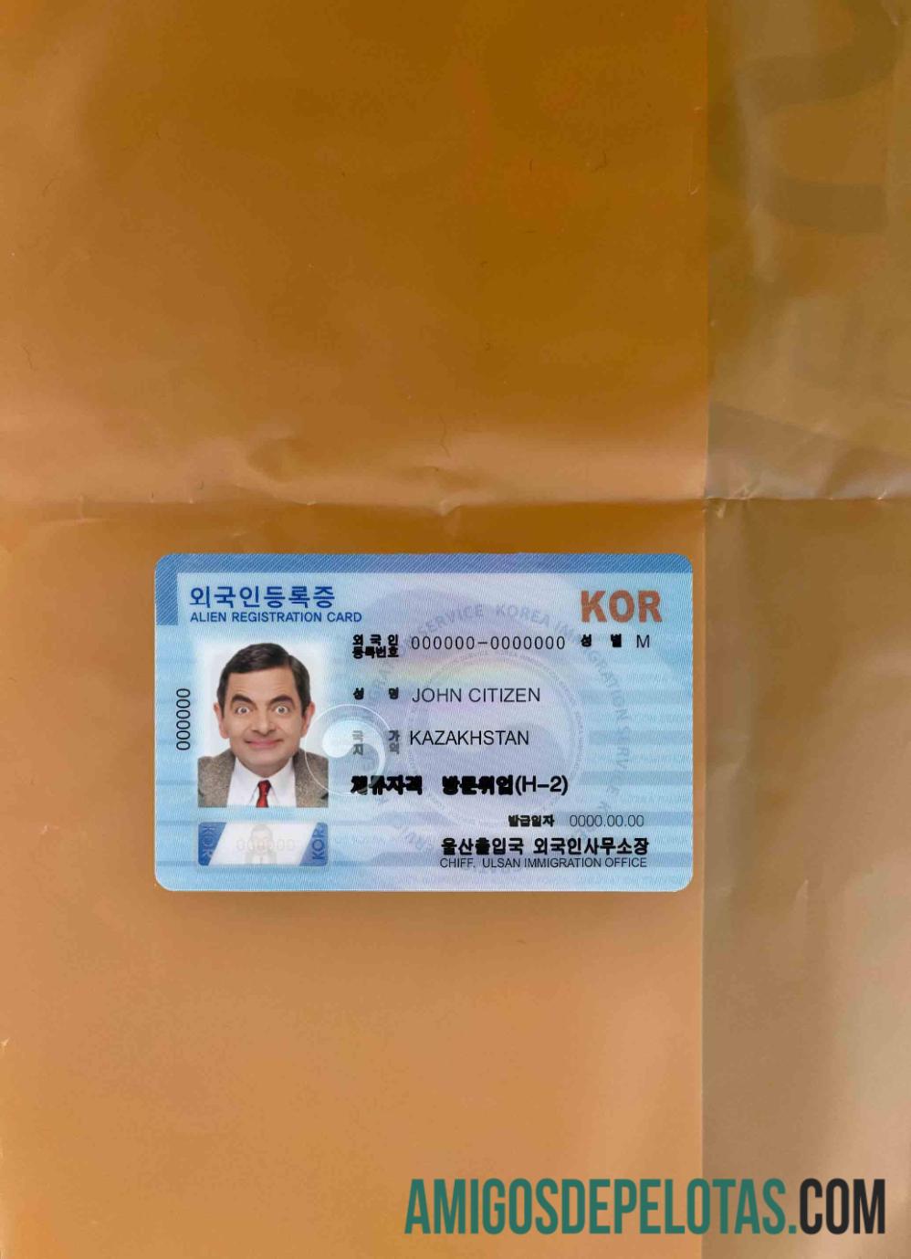 Imprimível South Korean Alien Registration Card (ARC) modelo olhar de foto frente